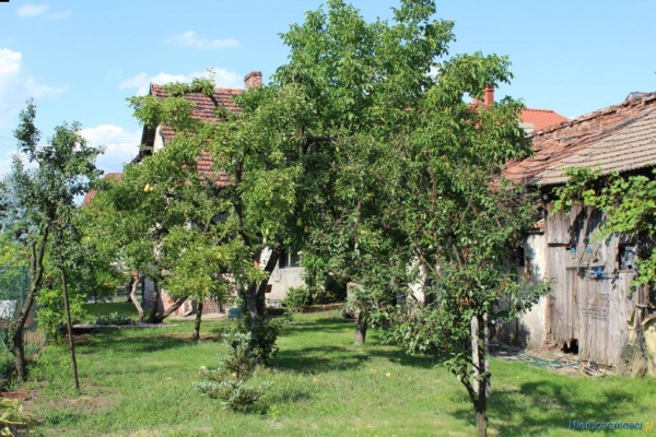 Zdjęcie nr 3. Dom do remontu w Przemkowie koło Szprotawy