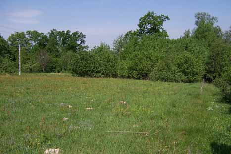 Zdjęcie nr 1. Działka z lasem koło Dobczyc