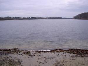 Zdjęcie nr 1. Działka między dwoma jeziorami