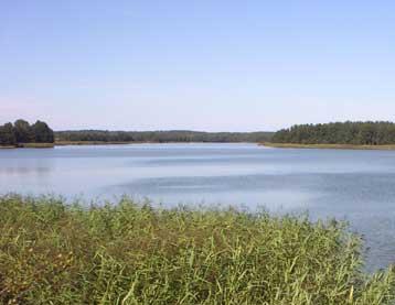 Zdjęcie nr 1. Działka nad jeziorem Bory Tuchol