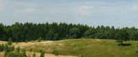 Zdjęcie nr 1. Grunt rolno-leśny