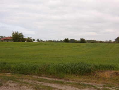 Zdjęcie nr 1. Działka rolna w obrębie Poznania