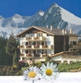 Zdjęcie nr 1. Hotel w Alpach Szwajcarskich