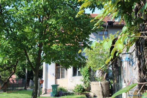 Zdjęcie nr 6. Dom do remontu w Przemkowie koło Szprotawy