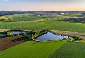 Działki